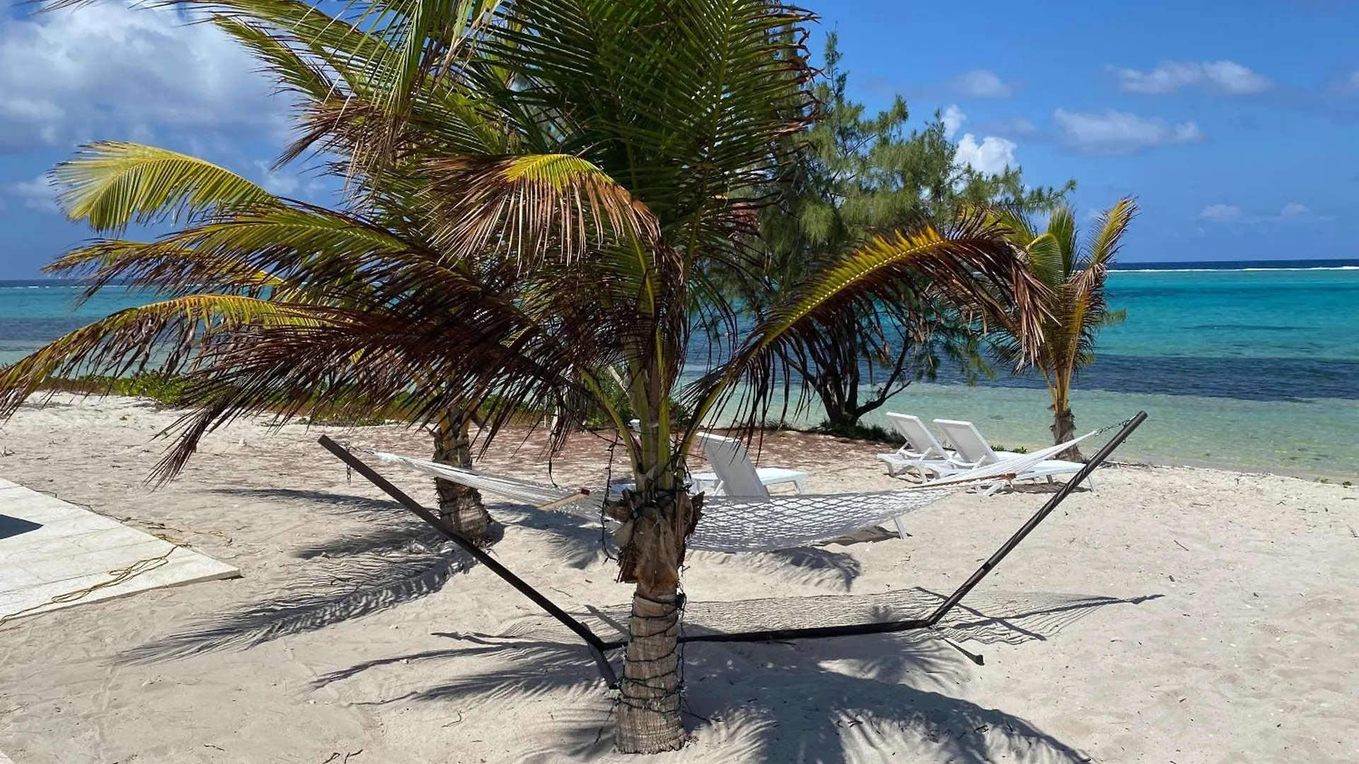 The Blue Iguana At Cottages Sand Bluff 0*,  Îles Caïmans