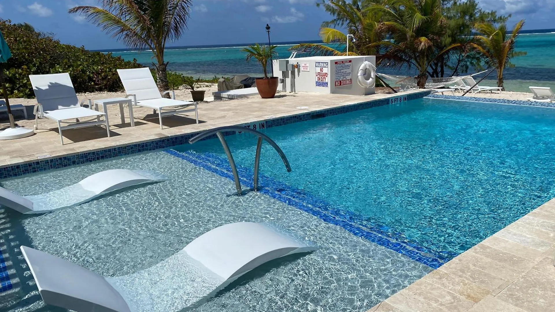 The Blue Iguana At Cottages Sand Bluff Îles Caïmans
