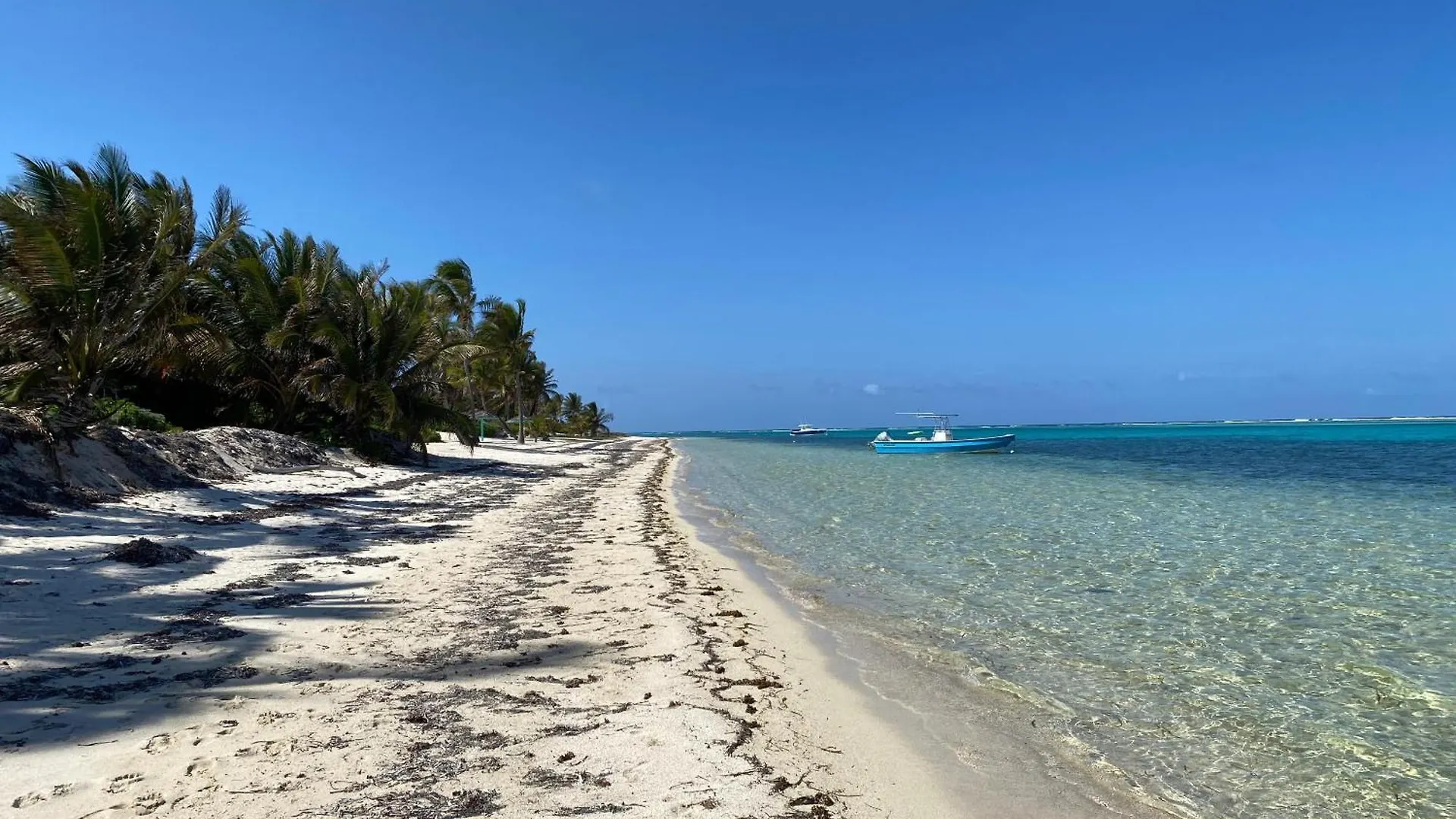Casa vacanze The Blue Iguana At Cottages Sand Bluff Isole Cayman