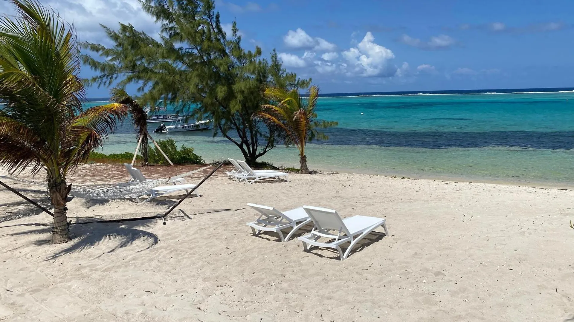 The Blue Iguana At Cottages Sand Bluff